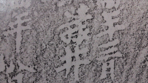 SN3S0642_R.JPG