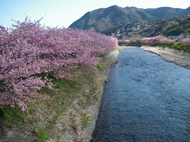 IMGP0011.JPG