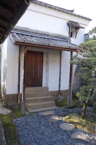 DSC03698.JPG