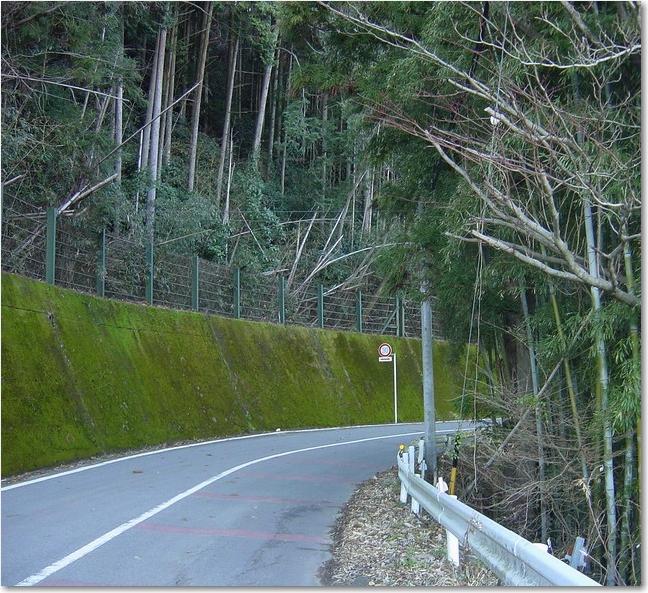 39左へ折れる.JPG