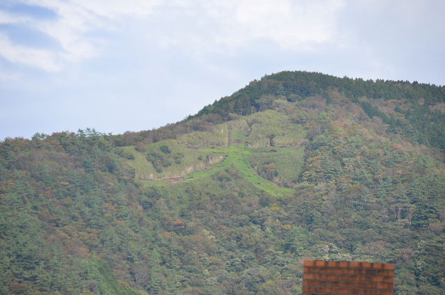DSC_0761.JPG
