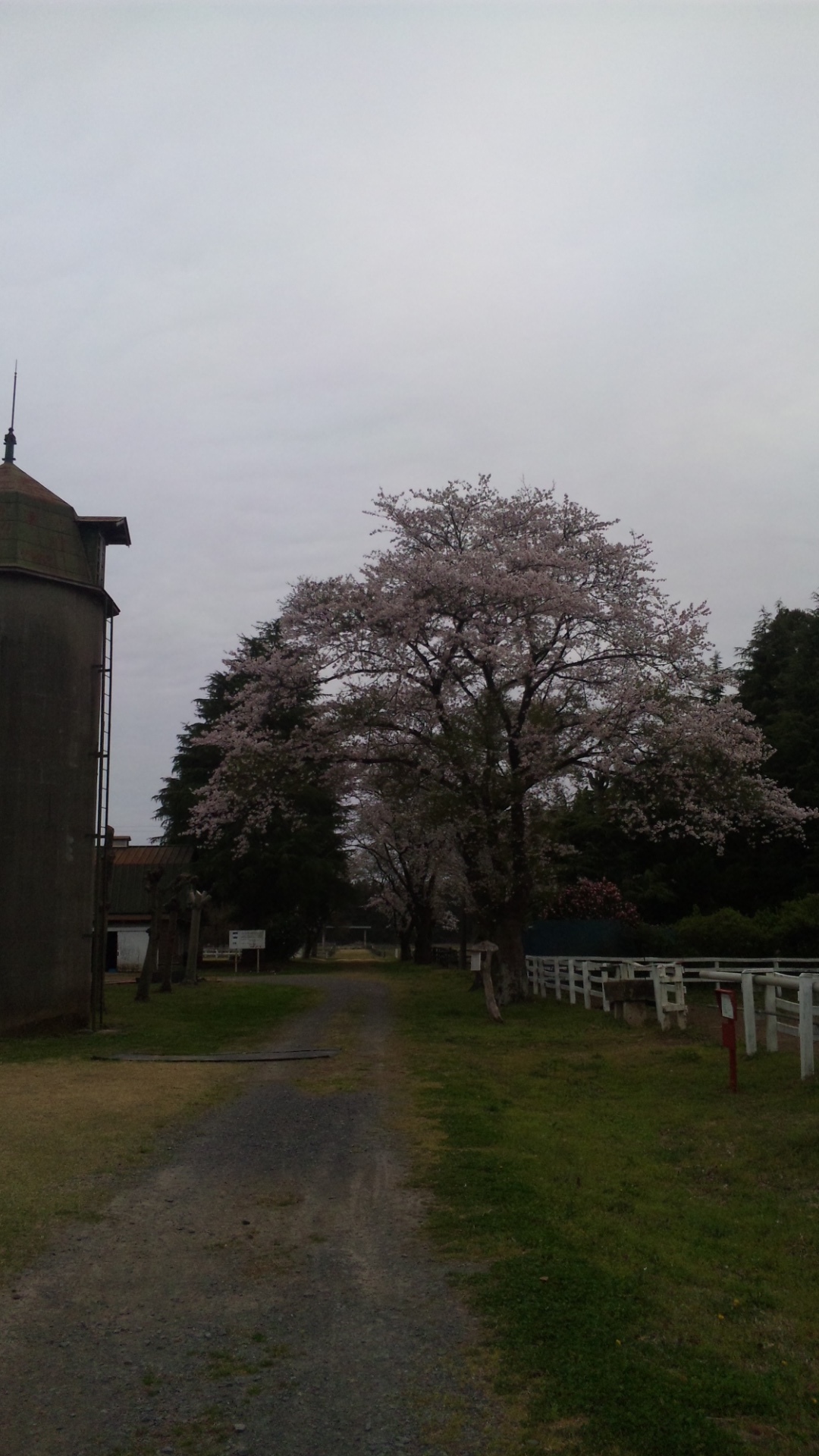 SH3D0039.jpg