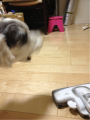 201205162036_9141_iphone.jpg