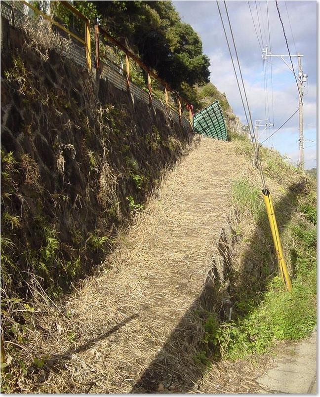 58登れるようです