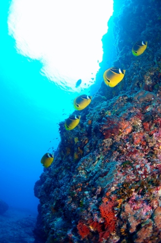 P8022340 (678x1024).jpg