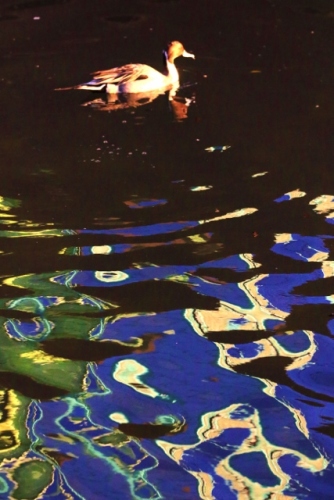 P95A4587 (427x640).jpg