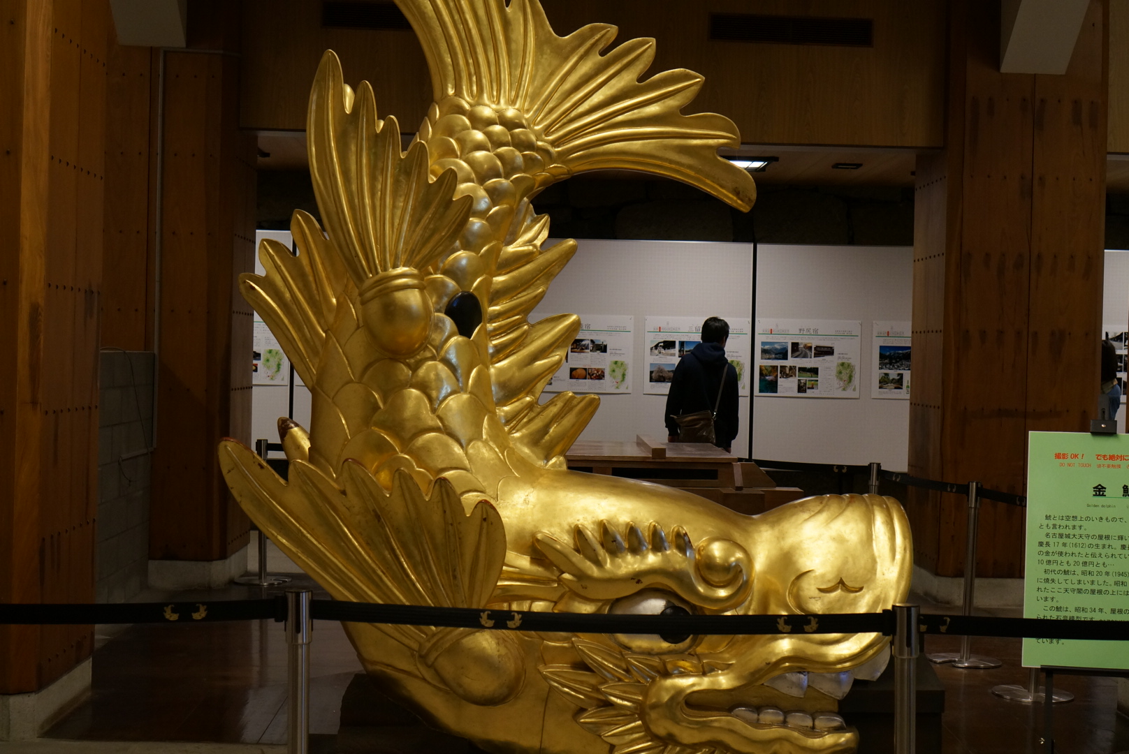 DSC02080.JPG