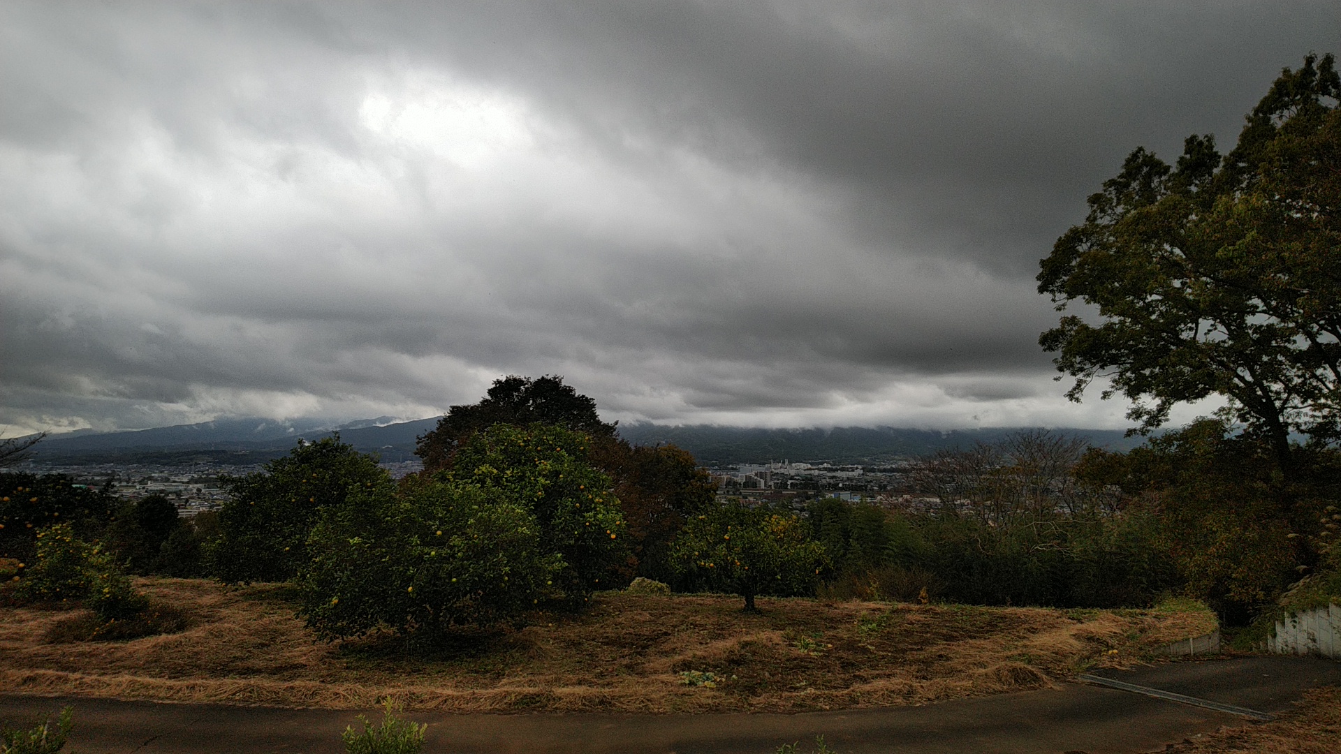 20191124  DSC_0005.jpg.jpg