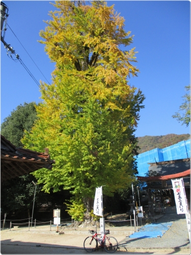 0867新宮神社_0867.jpg