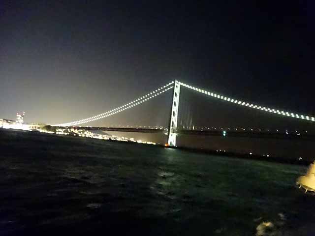 サンフラワー (3).JPG