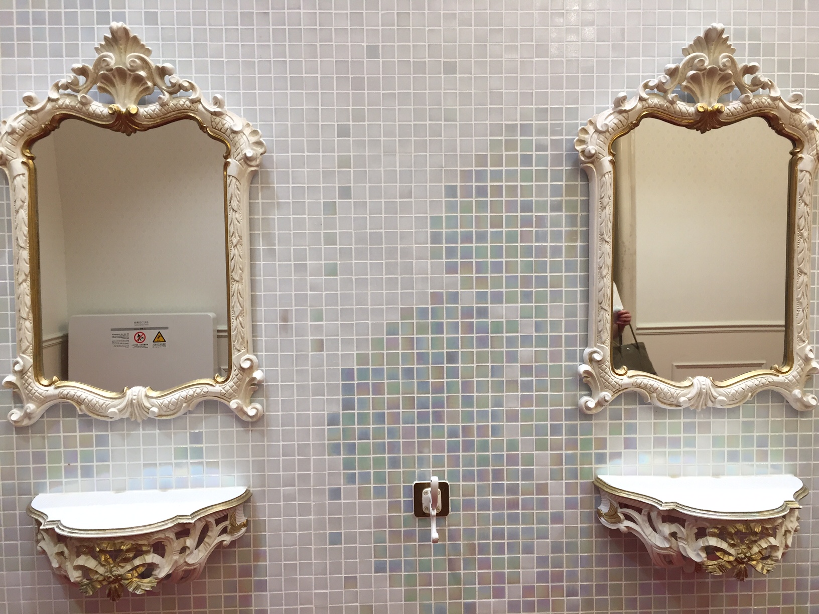 IMG_1393 - コピー.JPG