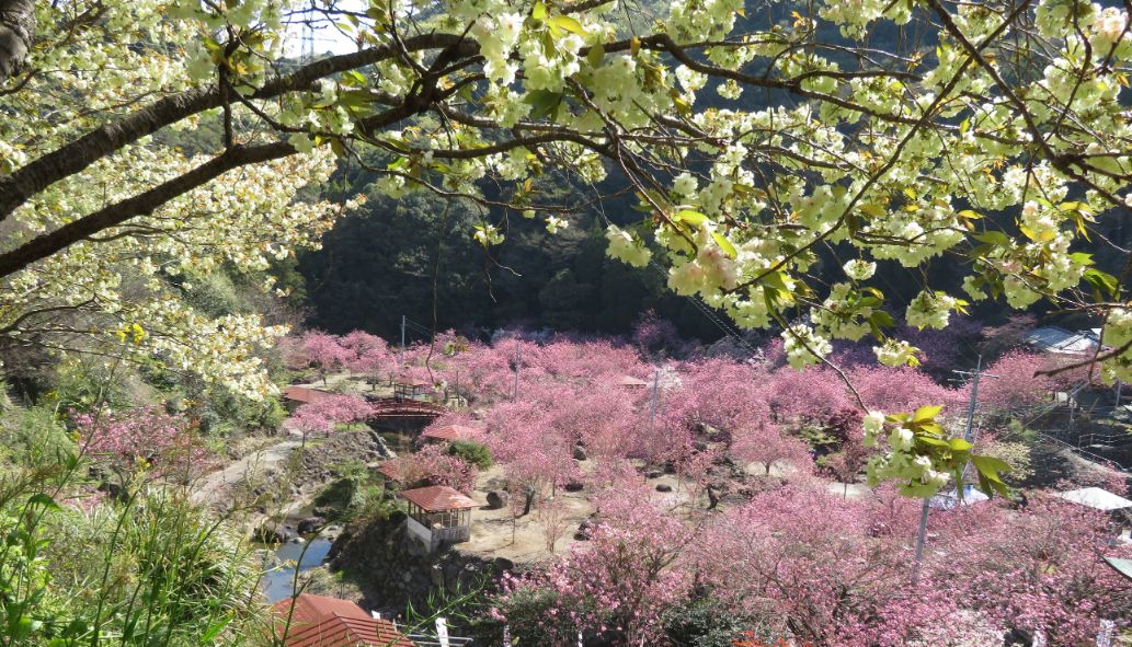 一心寺 (10).jpg