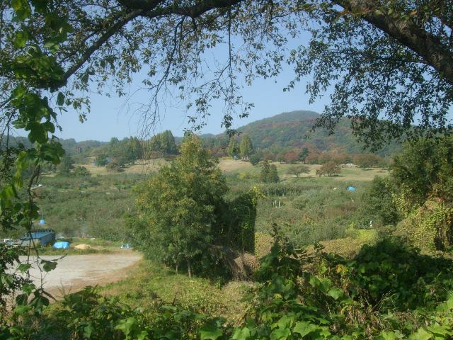 002.jpg恐竜公園8597.jpg