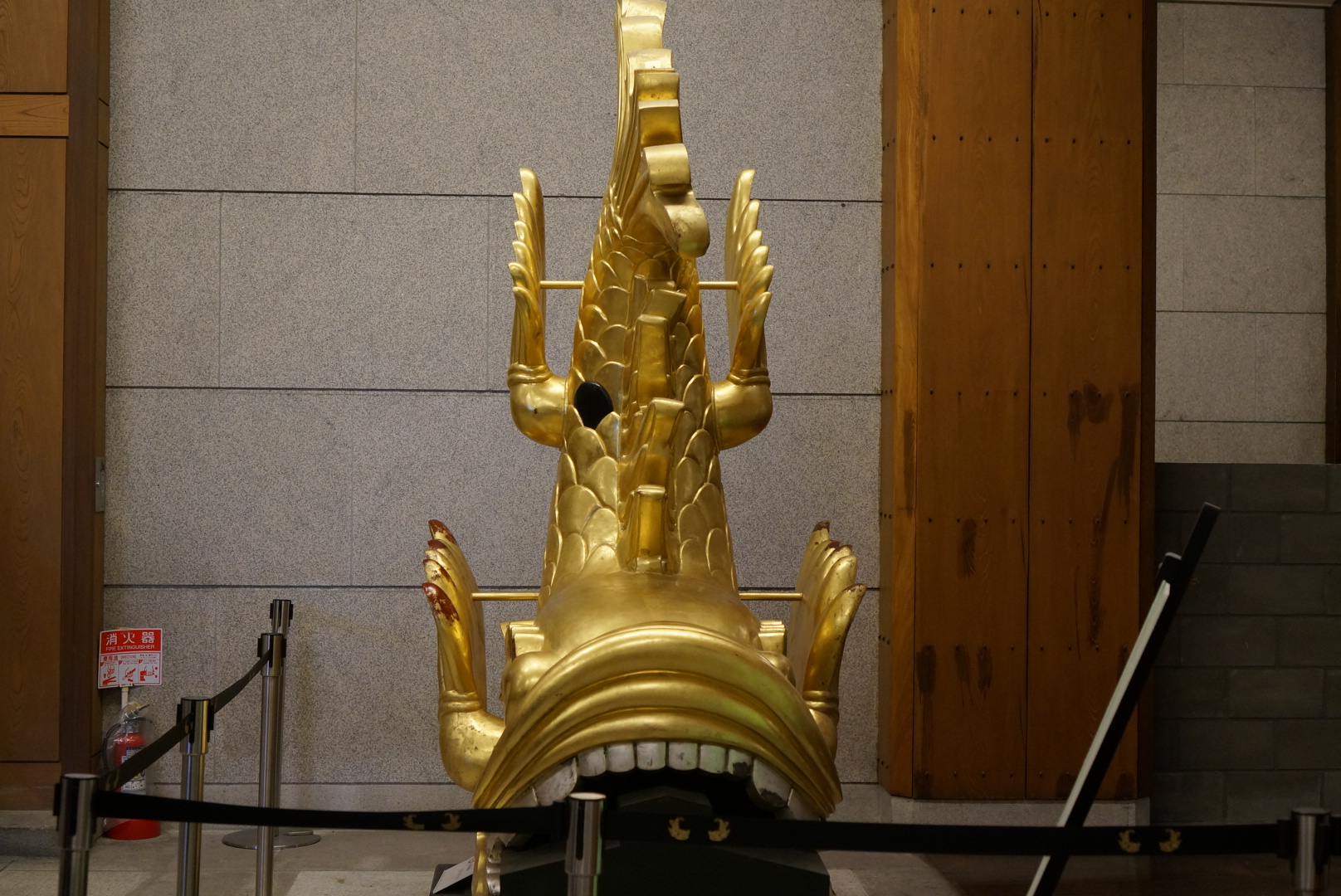 DSC02082.JPG