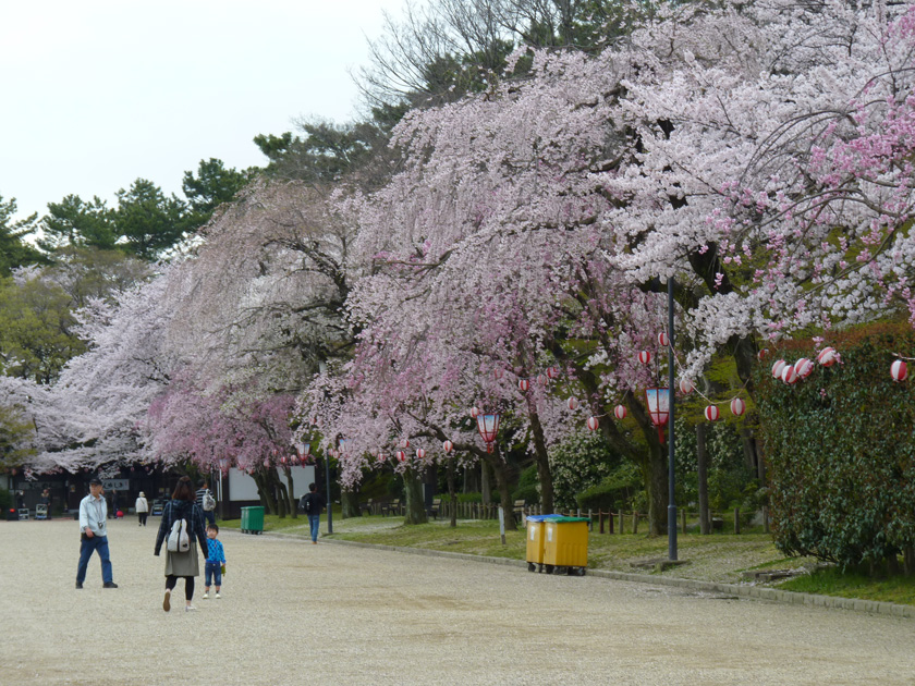 nagoyajyo-w007.jpg