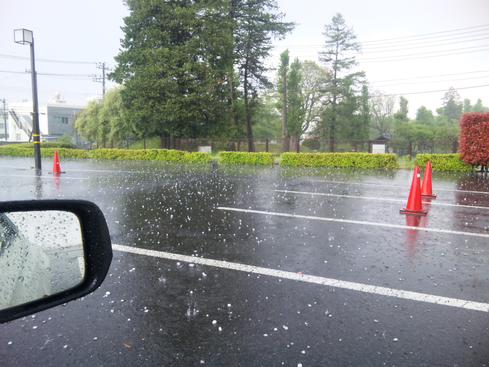 SH3E1825.JPG