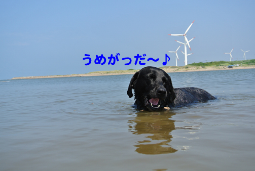 5.JPG