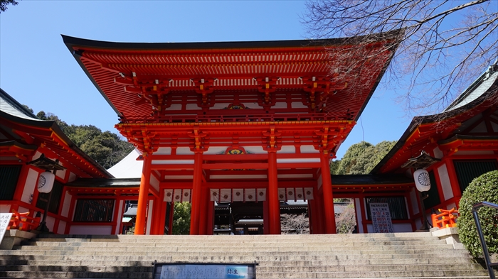 20160322 12030401.JPG