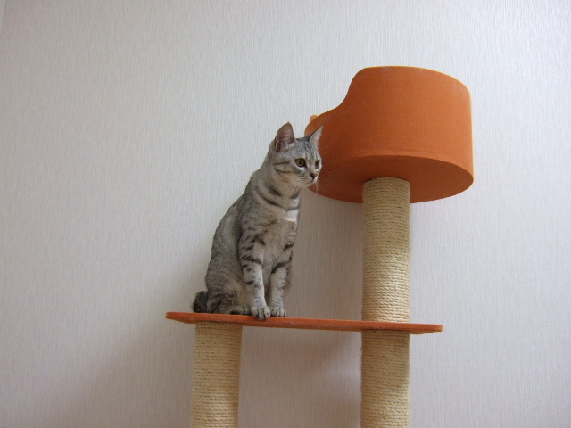 DSCF3177.JPG