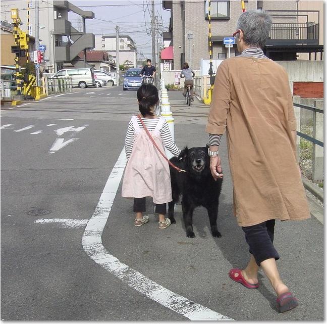 28黒犬踏切.JPG