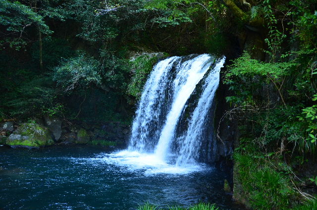 DSC_4596.JPG