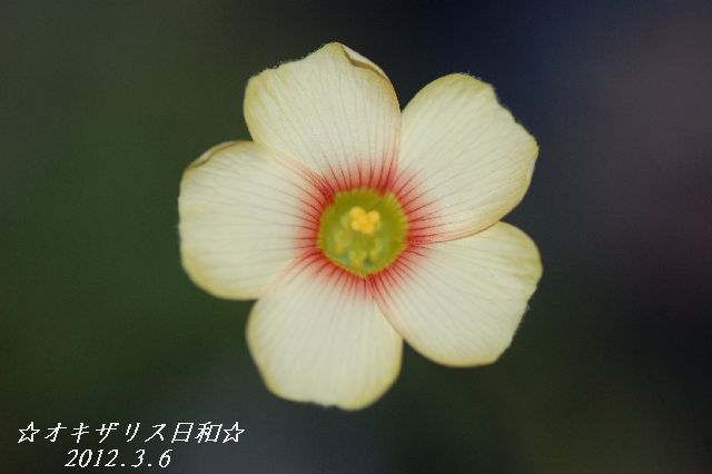 DSC_0158.JPG