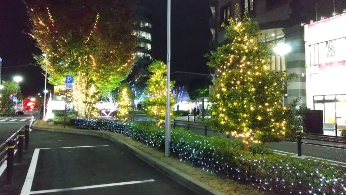 DSC_2083.JPG