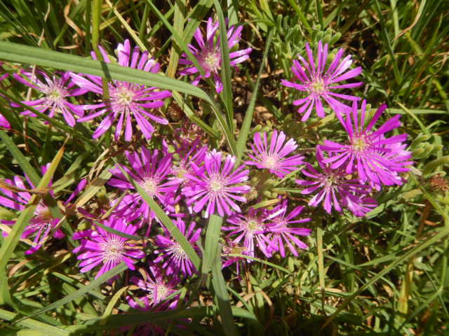 DSCN0179.JPG