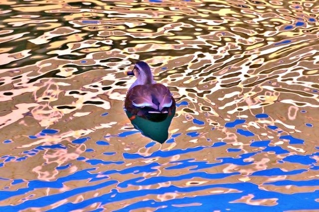 P95A4641 (640x427).jpg