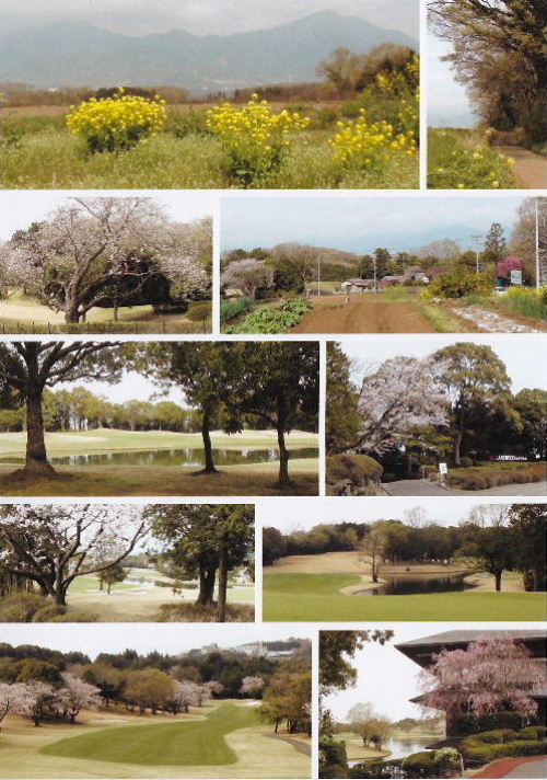 2013年4月の出来事A2.JPG