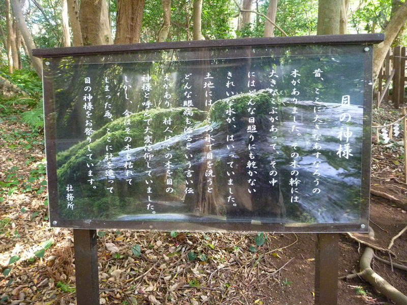 20141020 11265301.jpg