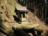 IMG_1304.JPG