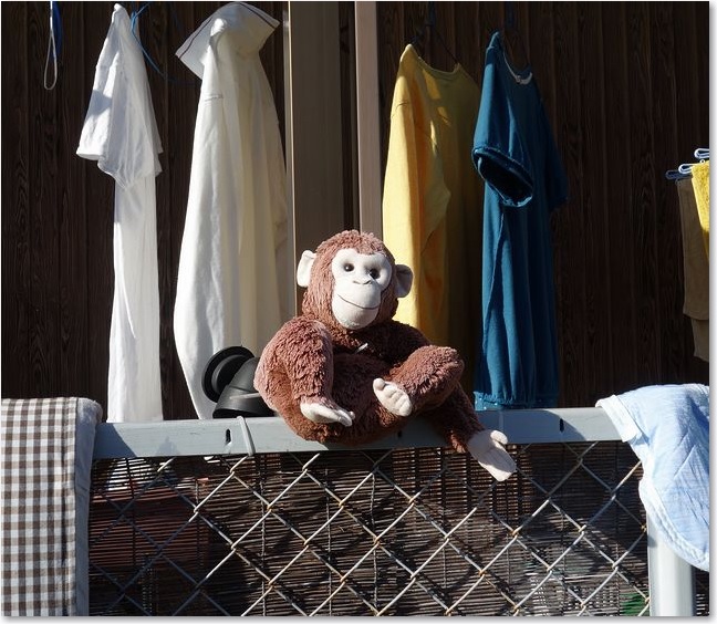 06干してある？