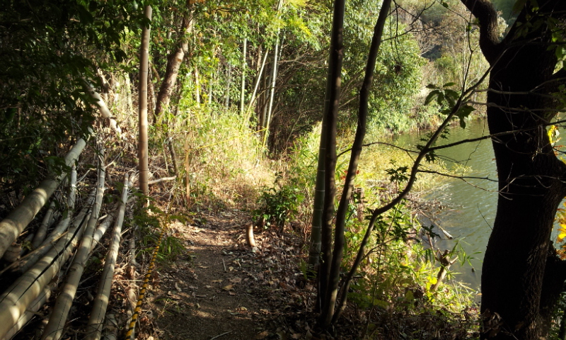 C:\fakepath\2012-12-12 15.11.25[1].jpg