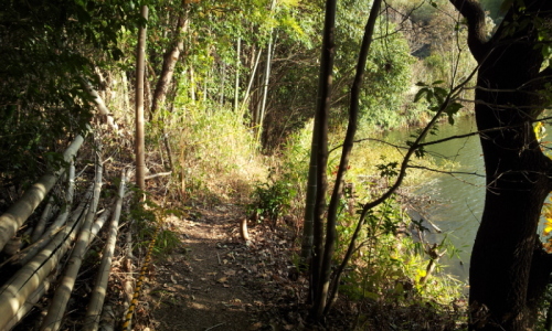 C:\fakepath\2012-12-12 15.11.25[1].jpg