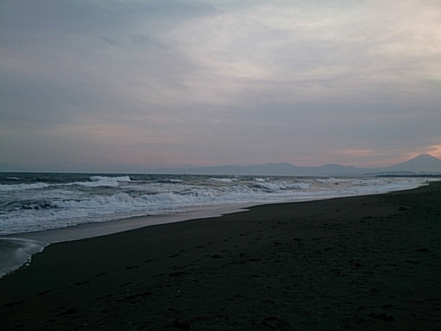 20160507  DSC_0009.jpg