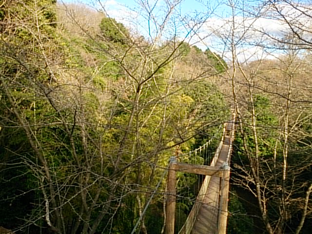 20151230  DSC_0004.jpg