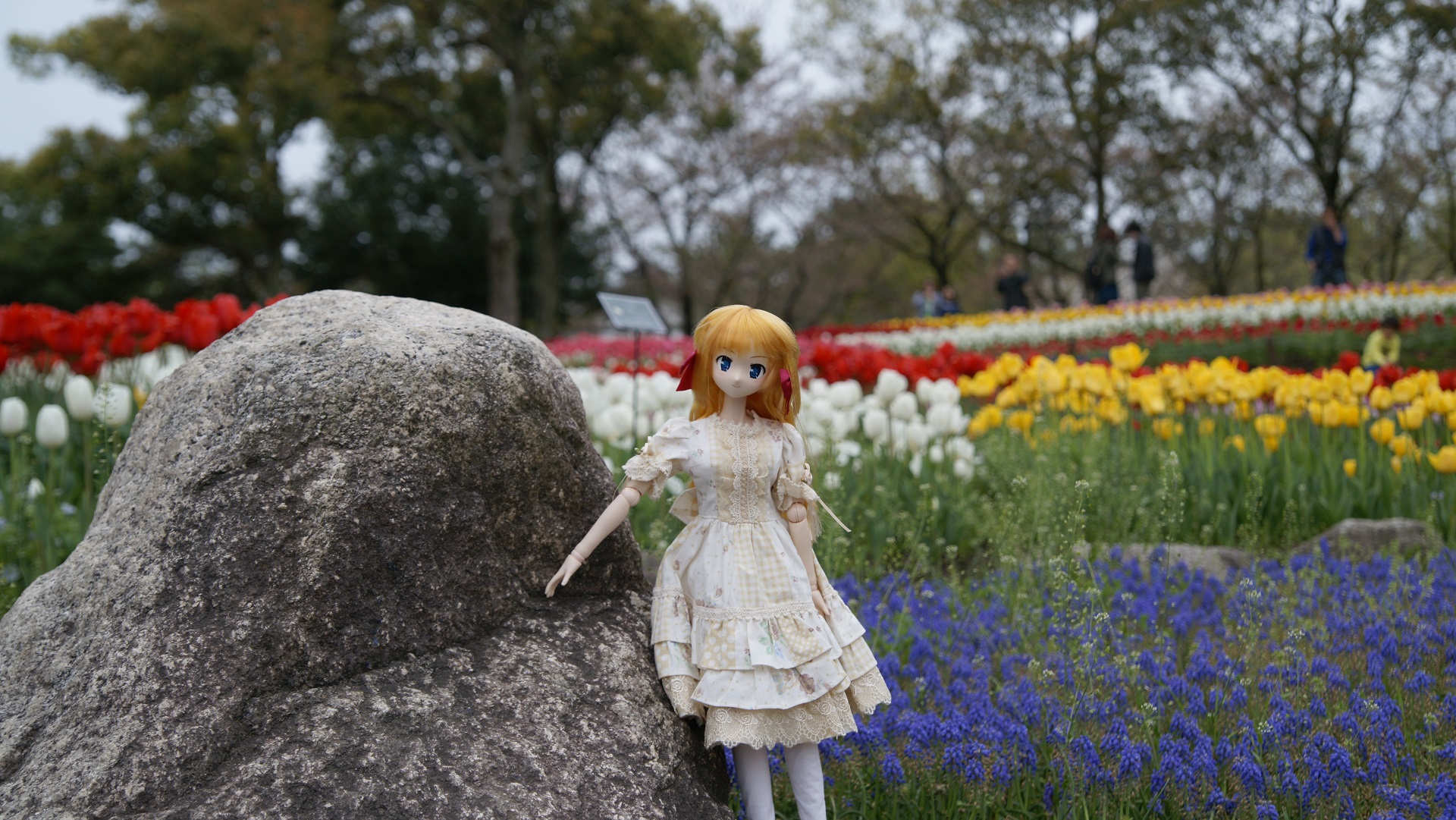 木曽三川公園チューリップ  瑛里華5.jpg