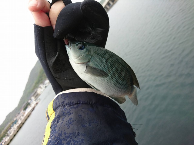 showPhoto (640×480)