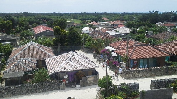 95.jpg