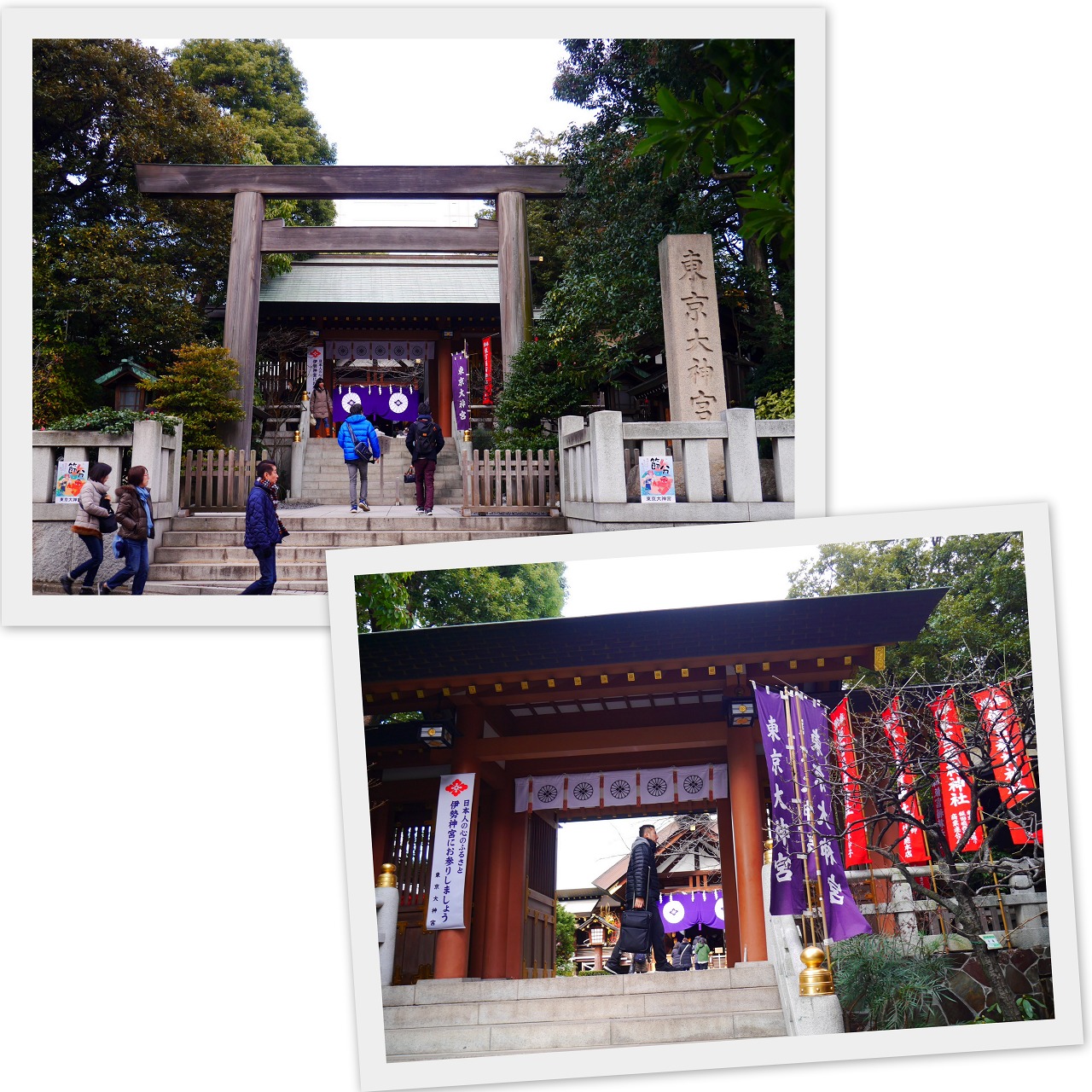 2018-01-30由似佳と神社3社他16.jpg