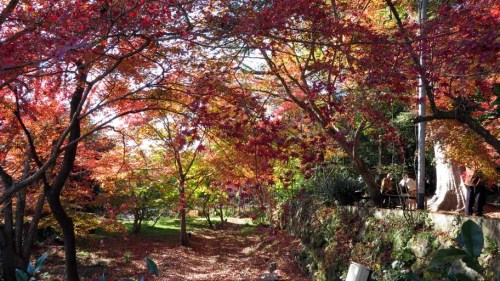 富貴寺 (16).JPG