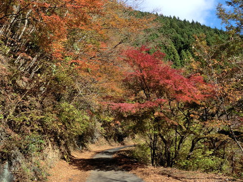 林道広河原逆川線 2013/11/17