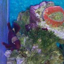 rps20130319_111450_374-1.jpg
