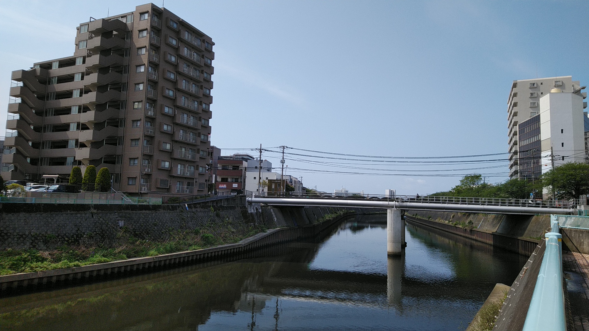 20200428  DSC_0001.jpg.jpg