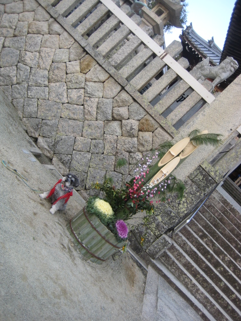 C:\fakepath\IMG_4946.JPG