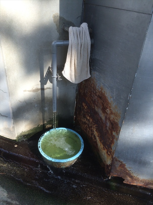 20150914 15212501.jpg