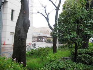 浅草卯月 045.JPG