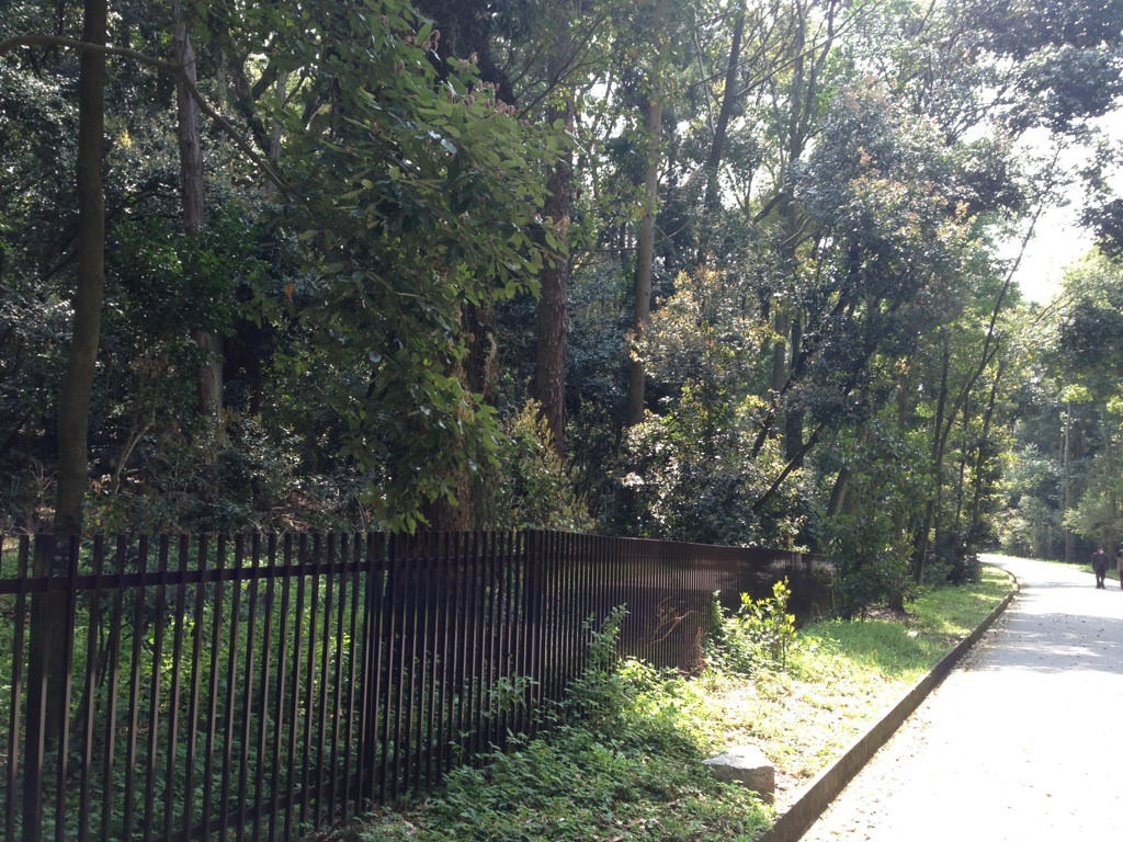 御陵参道.jpg
