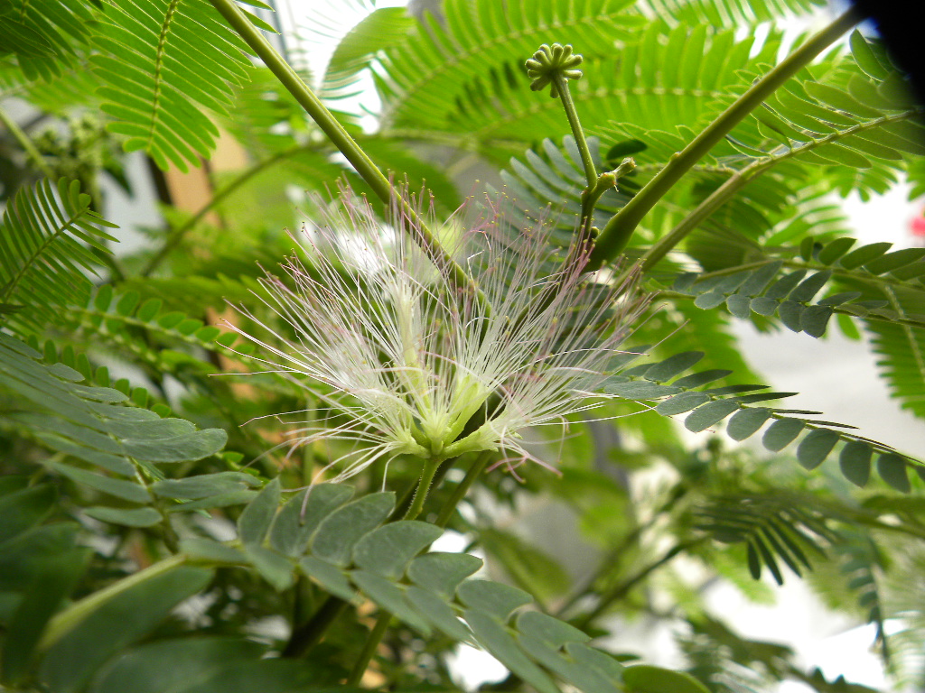 DSCN5502.JPG